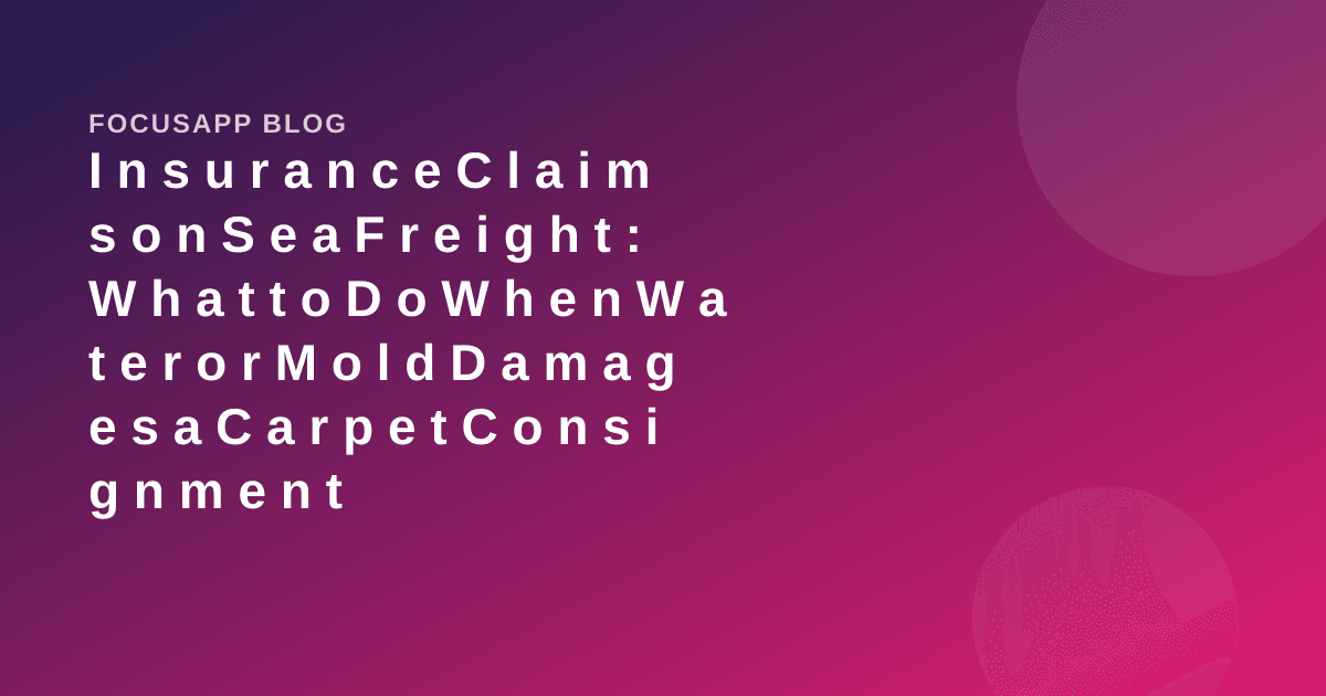 Insurance Claims on Sea Freight: What to Do When Water or Mold Damages a Carpet Consignment